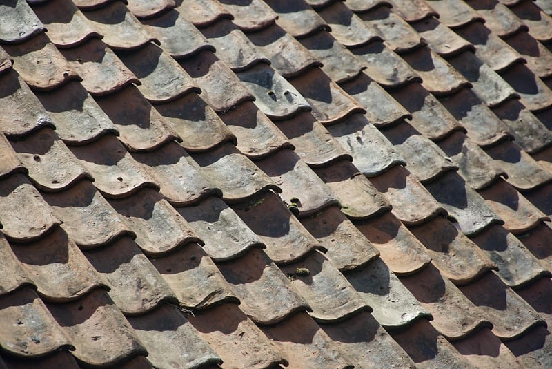Roof Gardens
